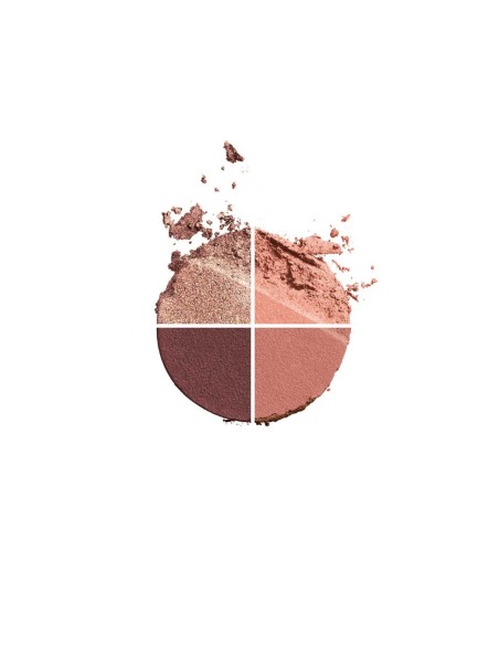 Clarins Ombre 4 Couleurs 01 Fairy Tale Nude Gradation 4.2g