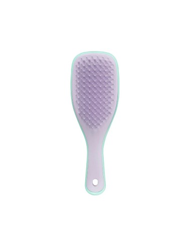 Tangle Teezer Mini Wet Detangler Mint / Lilac