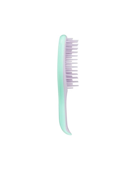 Tangle Teezer Mini Wet Detangler Mint / Lilac