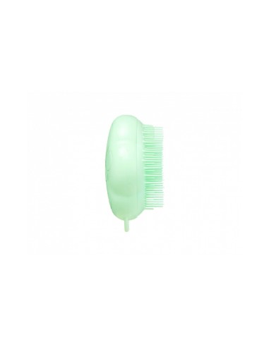 Pet Teezer Cat Grooming Brush