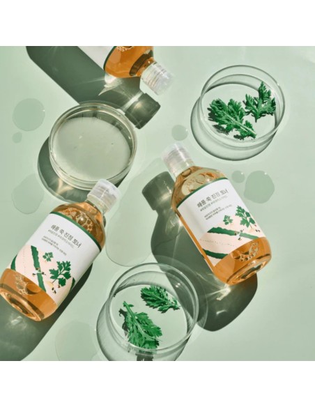 Round Lab Mugwort Calming Toner 300ml